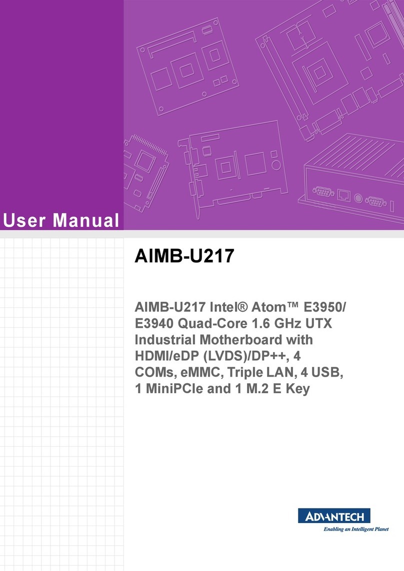 Advantech AIMB-U217 user manual