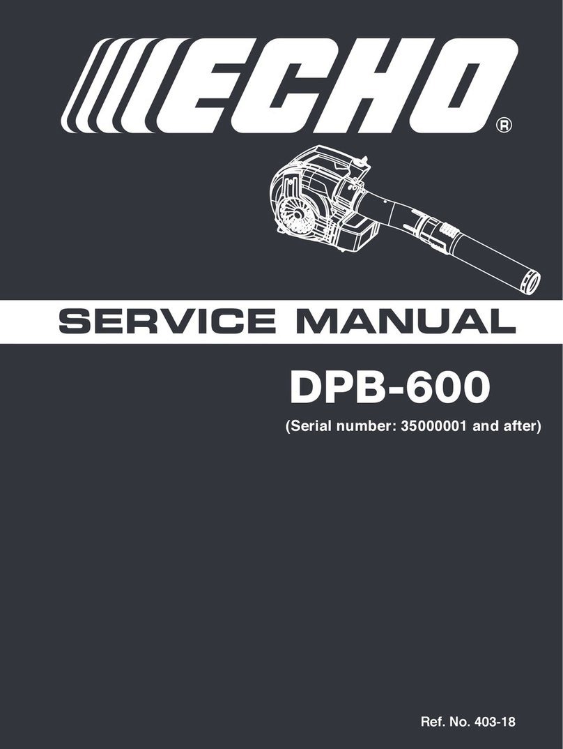 Echo DPB-600 User manual