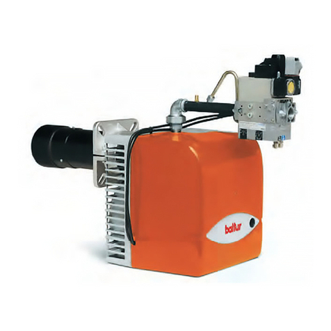 baltur BTG 20 LX User manual
