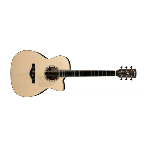 Ibanez DP1 Quick setup guide