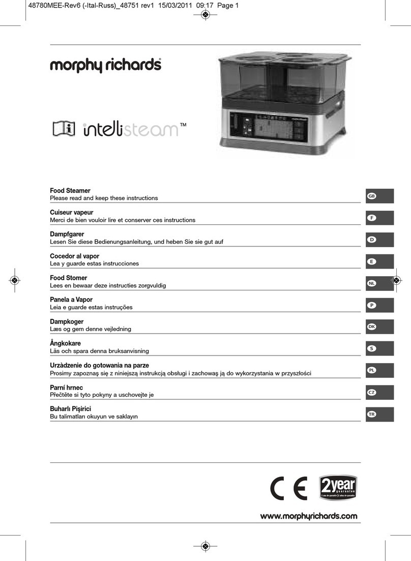 Morphy Richards Intellisteam User manual