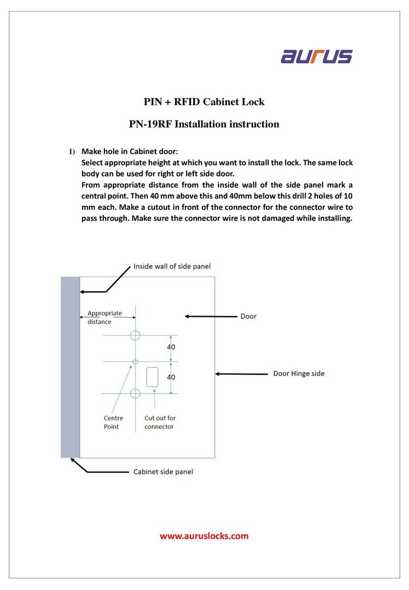 Aurus PN-19RF Installation instruction