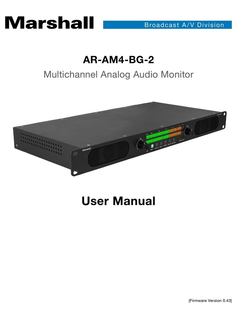 Marshall Amplification AR-AM4-BG-2 User manual