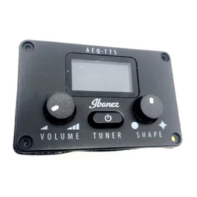 Ibanez AEQ-TTS Information manual