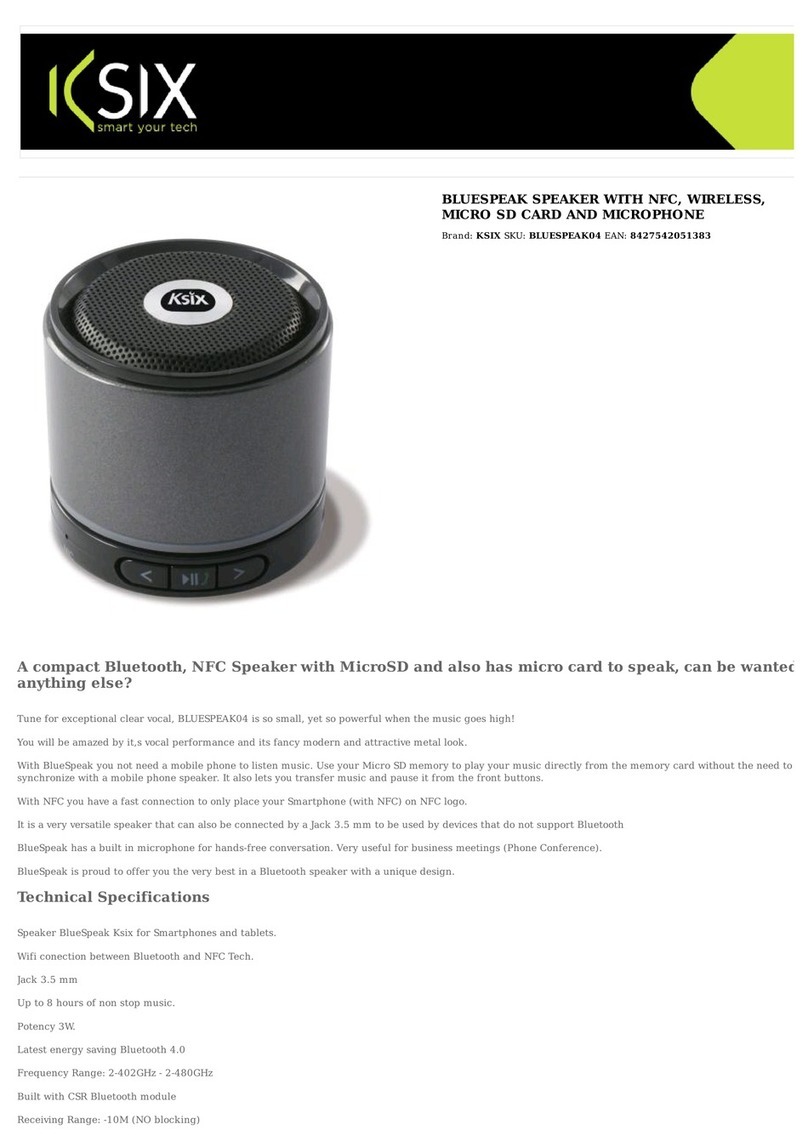 KSIX BLUESPEAK manual