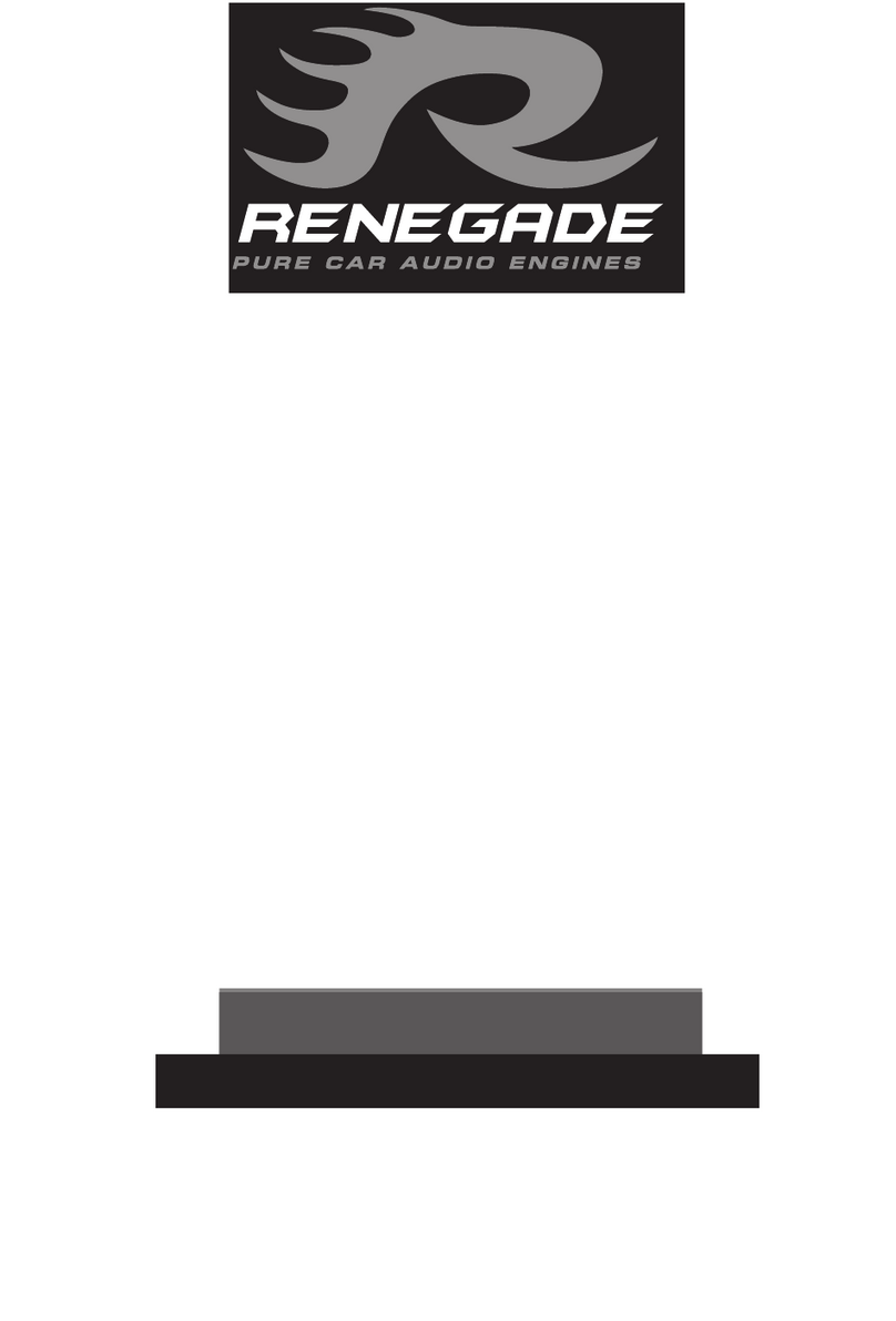 Renegade RXA 1100 user manual