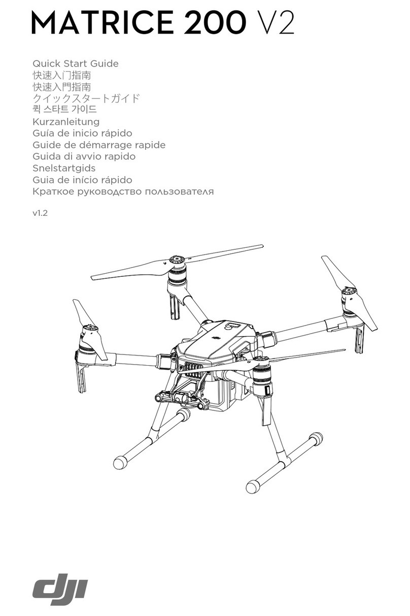 dji Matrice 200 Series V2 User manual