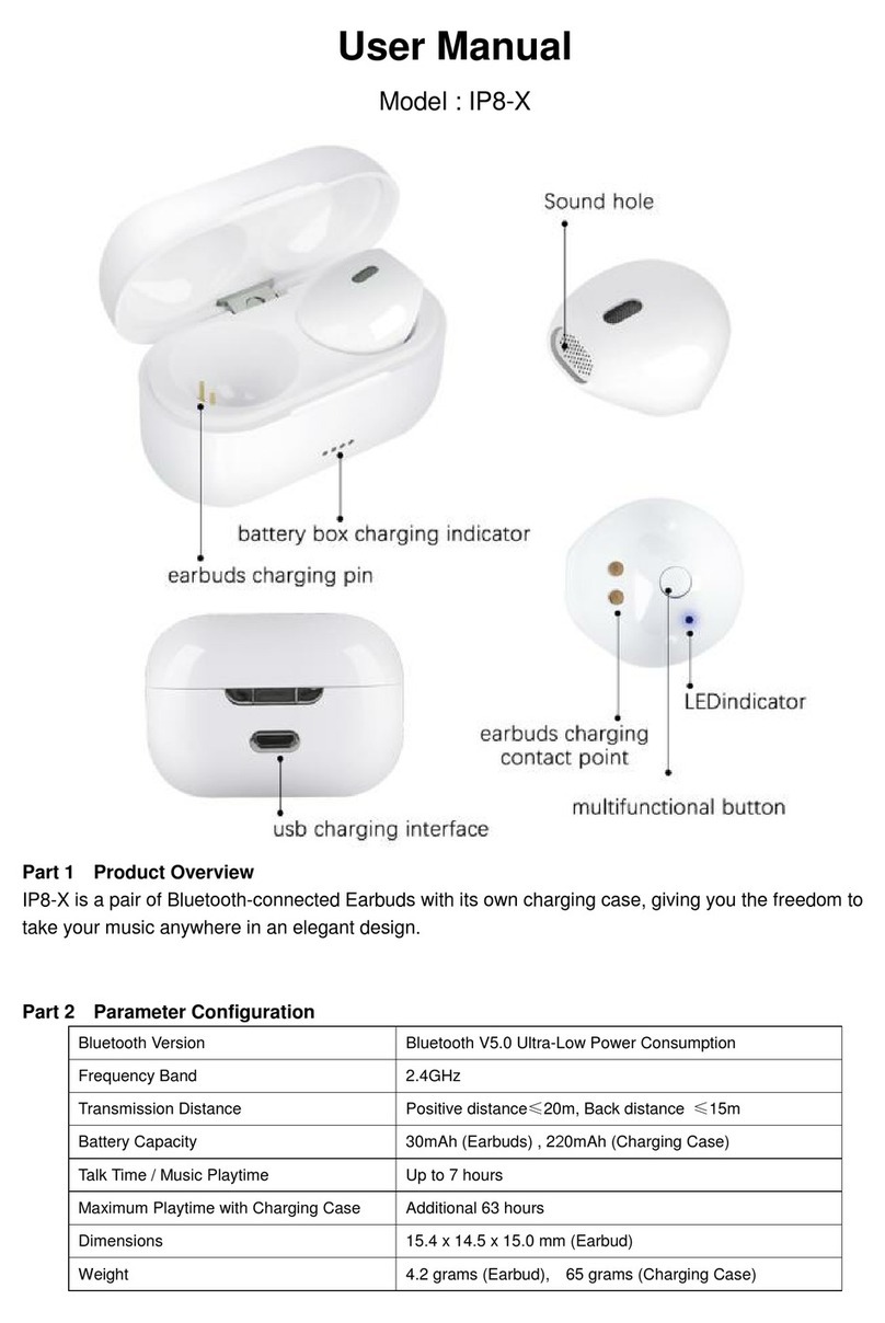 Fantime IP8-X user manual