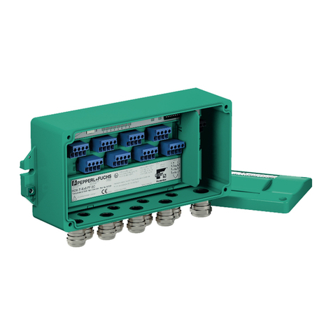 Pepperl+Fuchs F2D0-TI-Ex8.FF Series manual