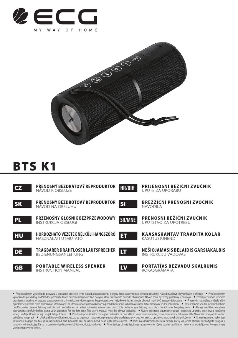 ECG BTS K1 instruction manual