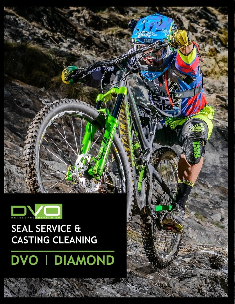 DVO DIAMOND Seal Service & Casing Cleaning