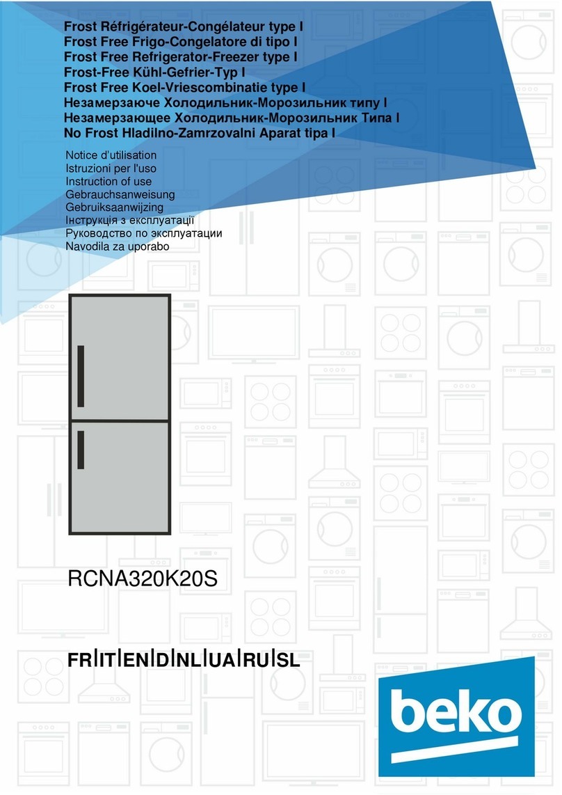 Beko RCNA320K20S Instructions of use