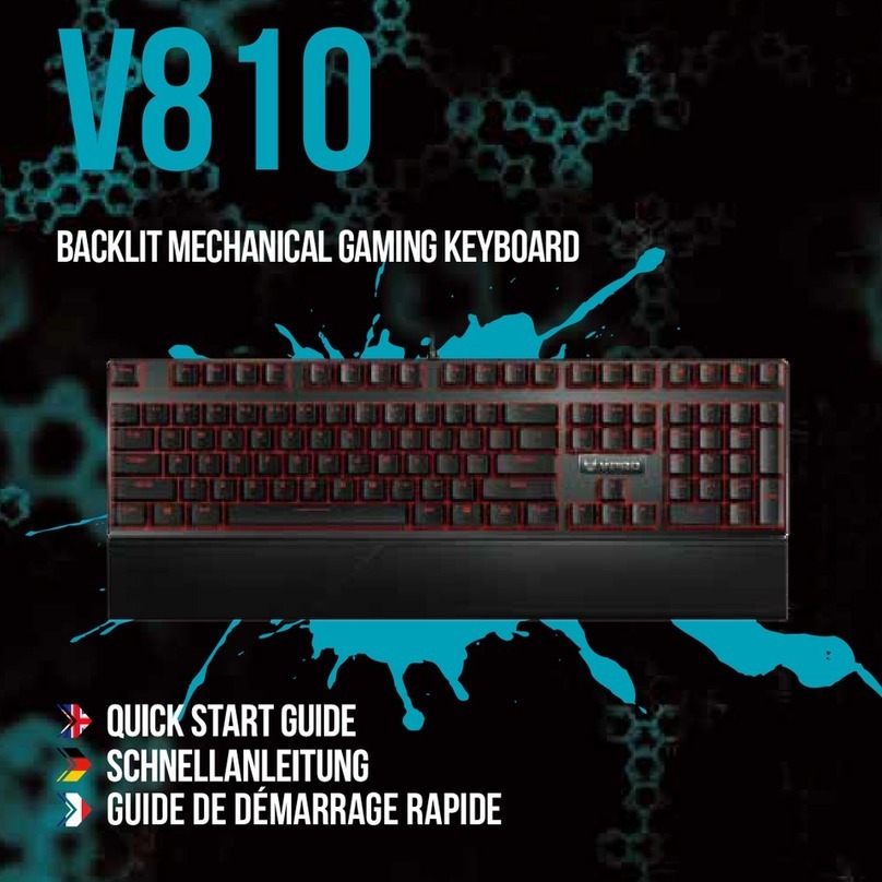 Rapoo V810 User manual