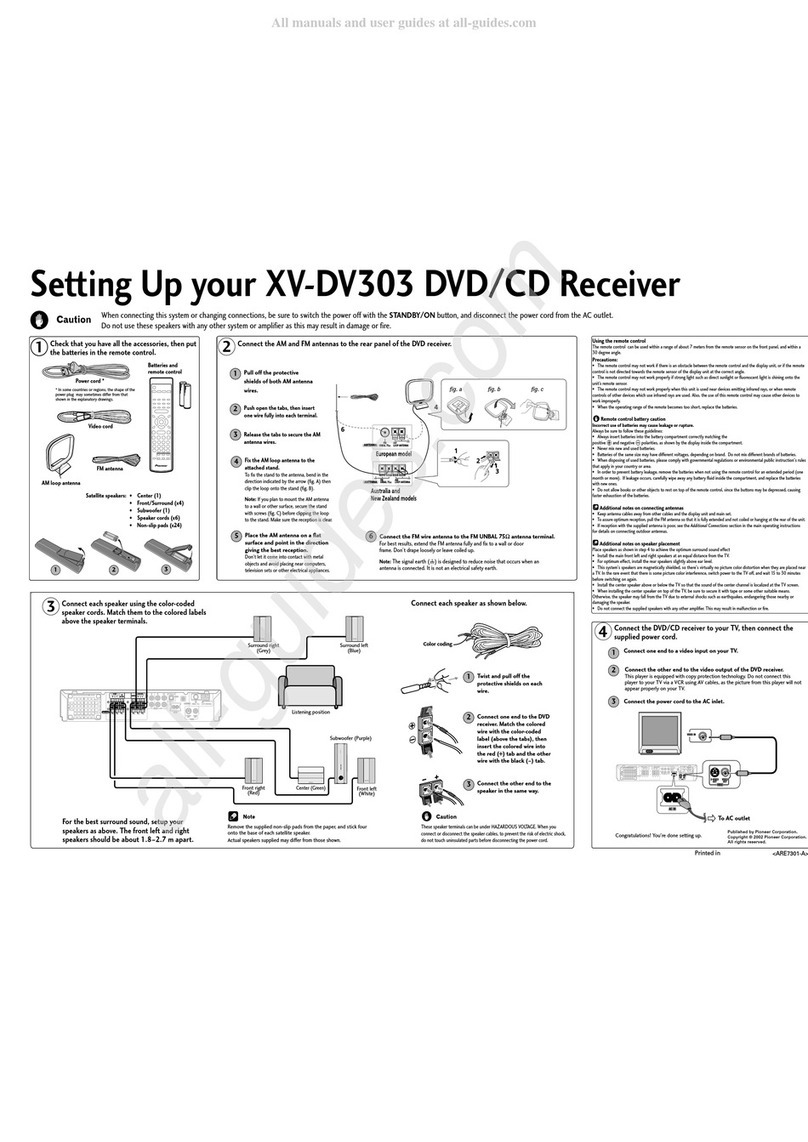 Pioneer XV-DV303 Setting up
