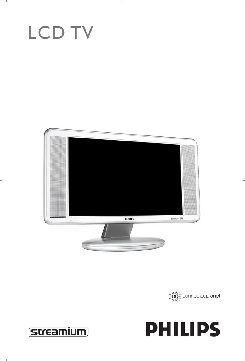 Philips Streamium User manual
