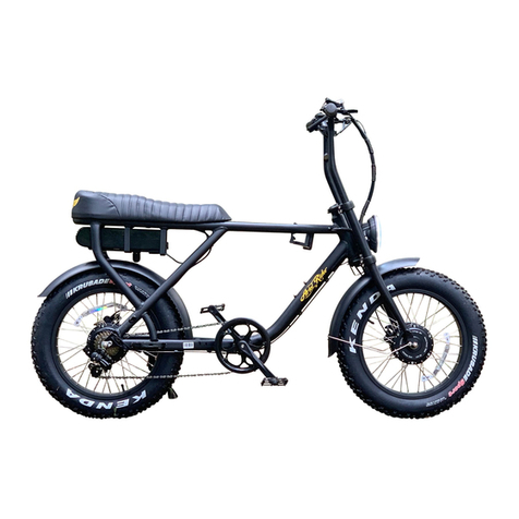 Ariel Rider D-Class user manual