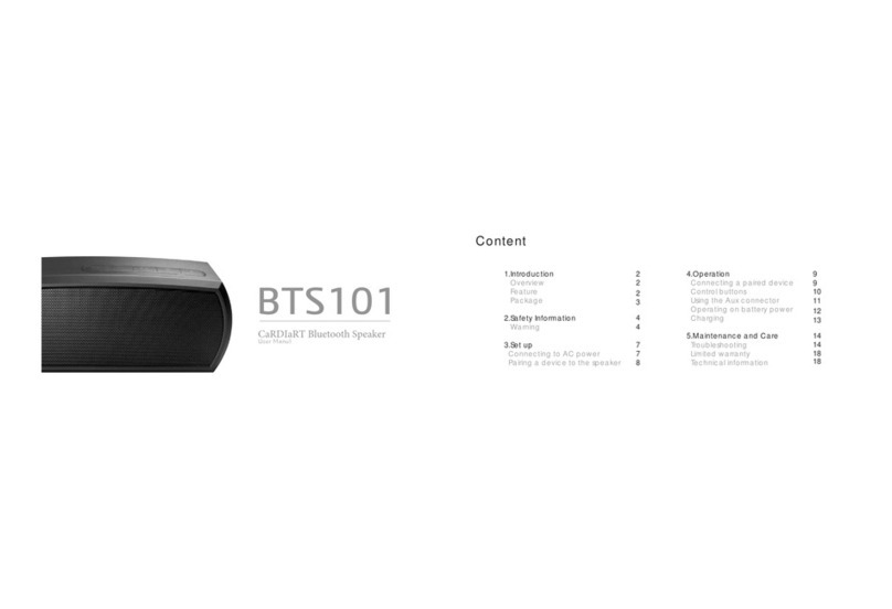 Cardiart BTS101 manual