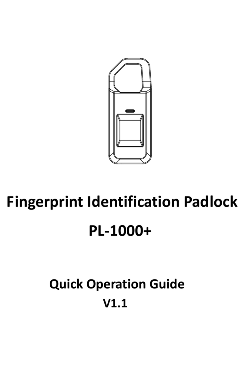 Micropixel PL-1000+ Quick operation guide