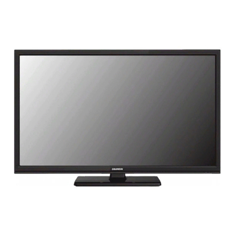 Grandin LD19CHD106 CI User manual