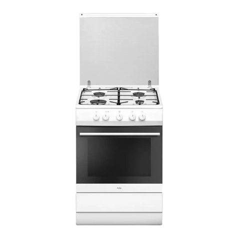 Amica SHGG Series User manual Amica SHGG Series User manual