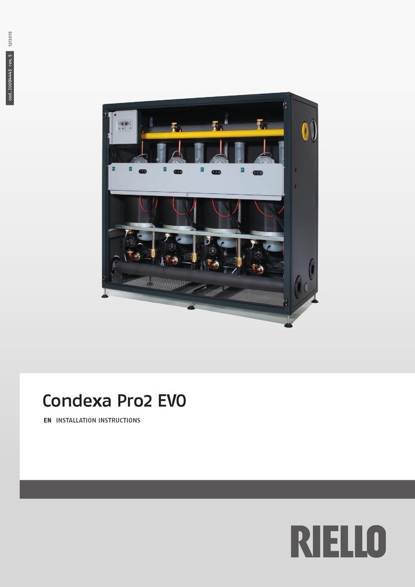 Riello Condexa Pro2 EVO Series installation instructions