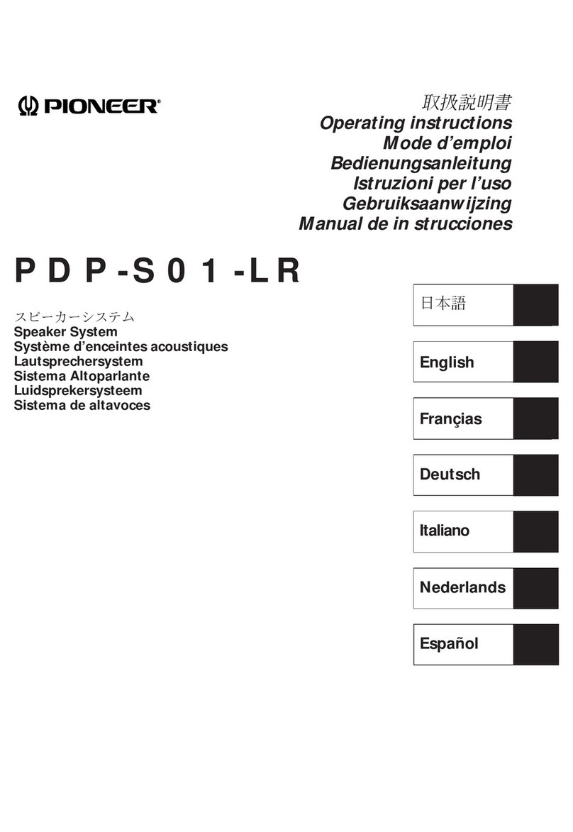 Pioneer PDP-S01-LR User manual
