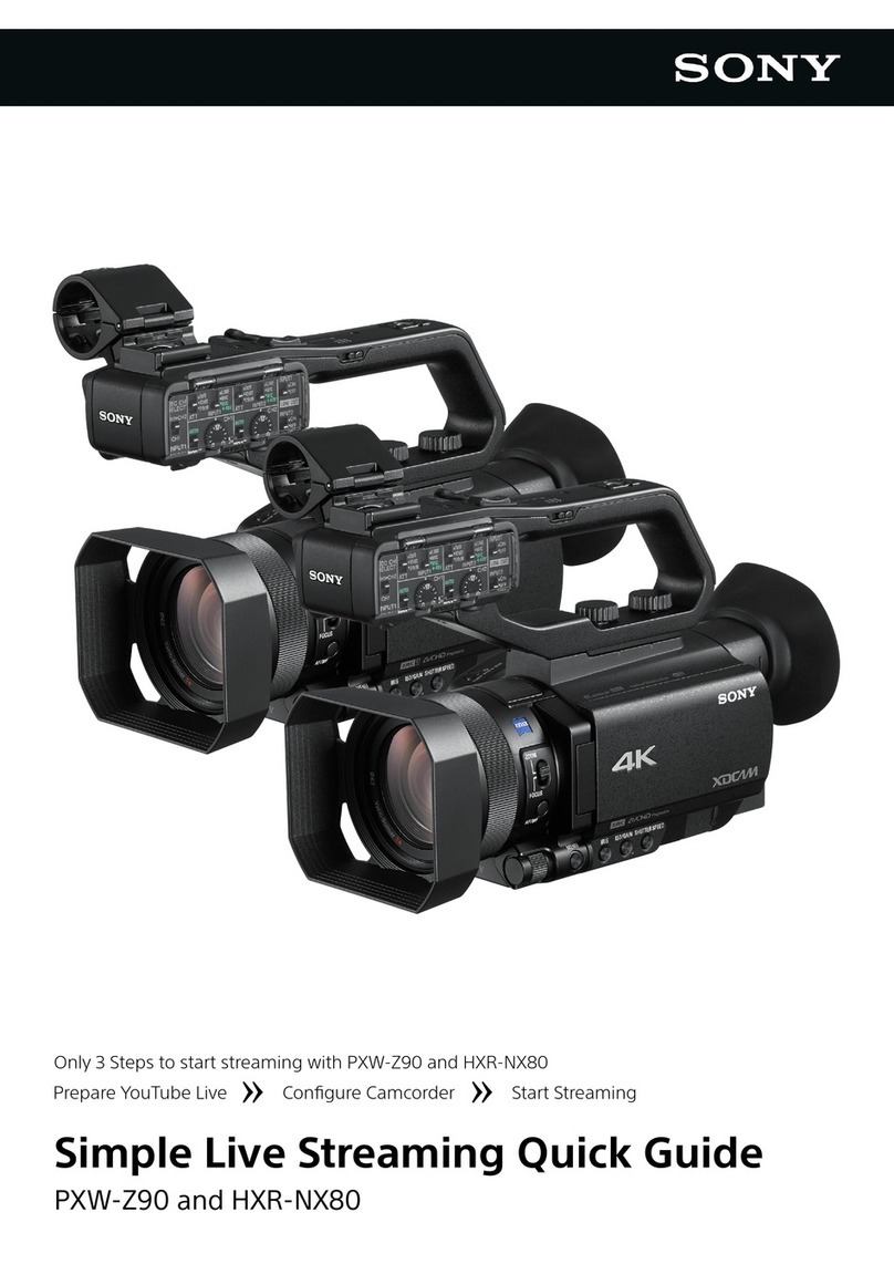 Sony HXR-NX80 User manual