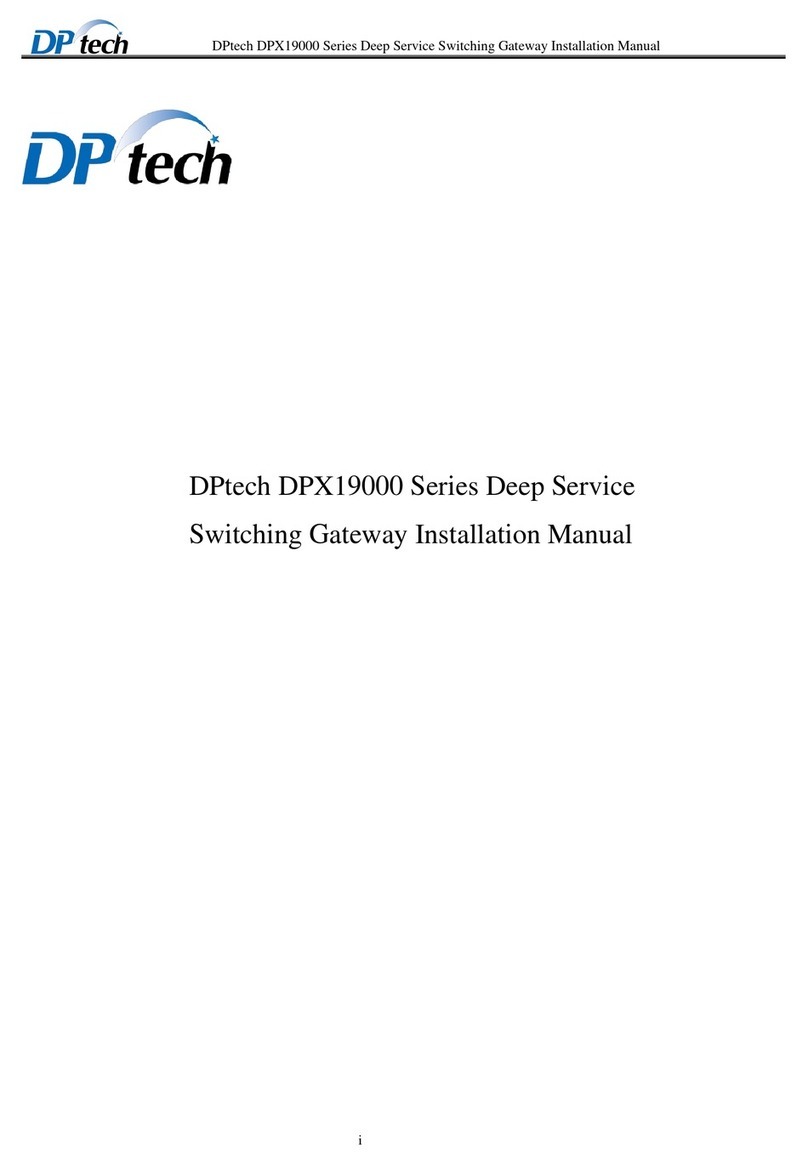 DPtech DPX19000 Series installation manual