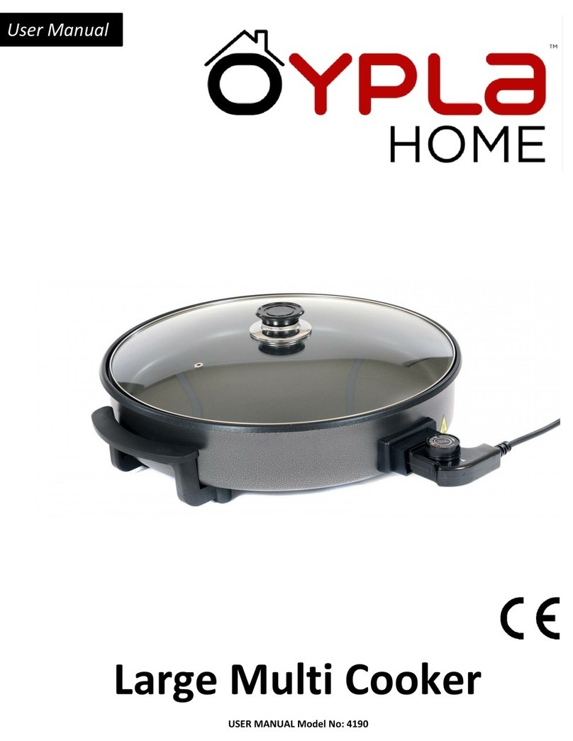 OYPLA Home 4190 user manual