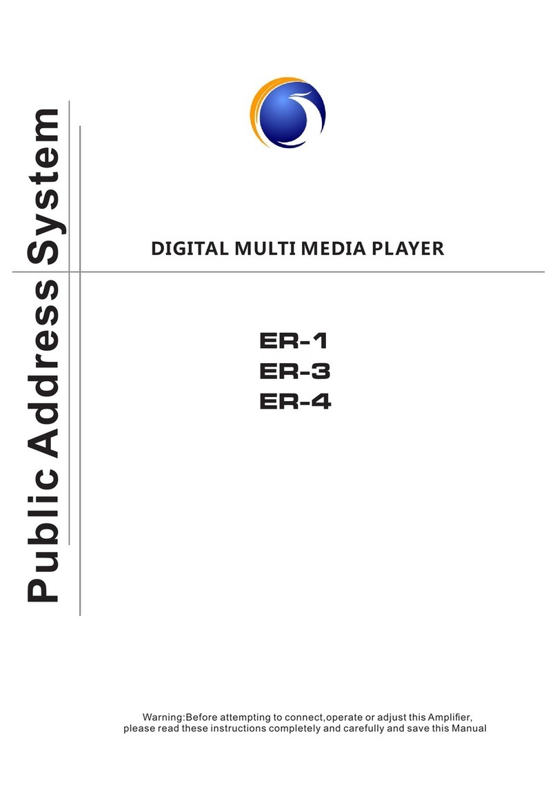 LY International Electronics ER-3 manual