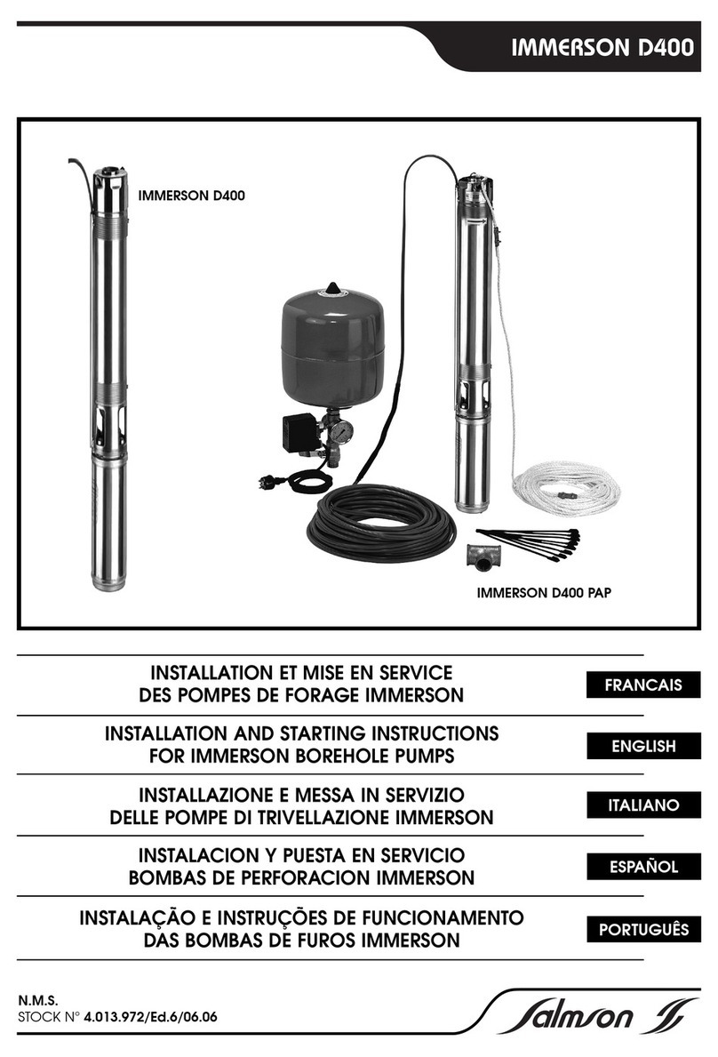 salmson IMMERSON D400 Installation and starting instructions salmson IMMERSON D400 Installation and starting instructions