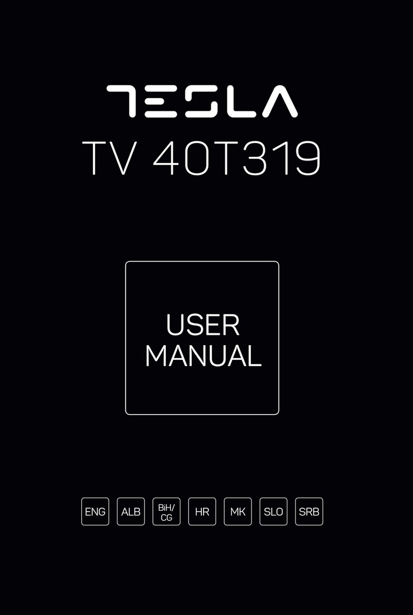 Tesla TV 40T319 User manual