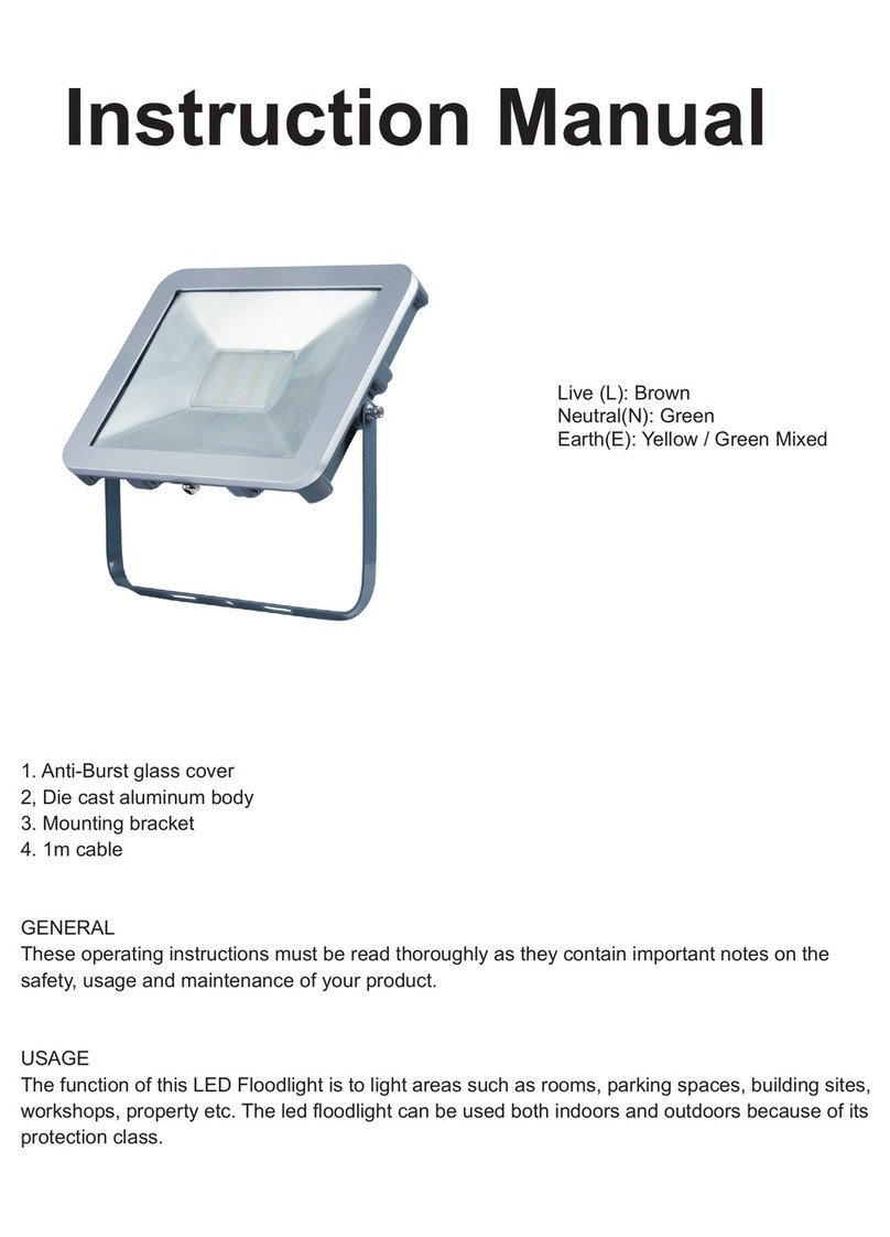 Haneco Lucido 100W5K-V2 instruction manual