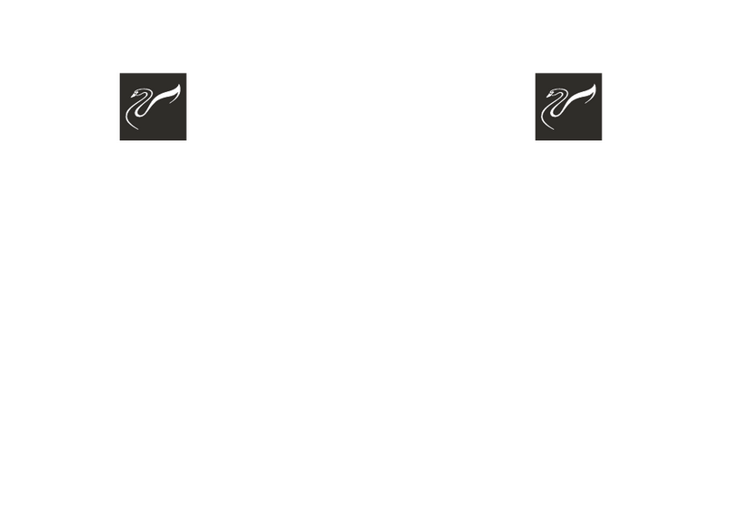 HiVi H4 Instructions for use