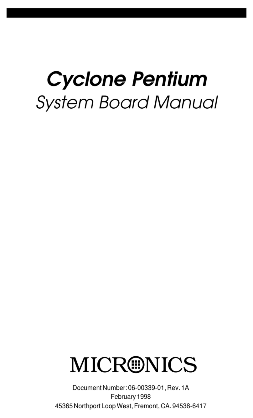 Micronics Cyclone Pentium manual