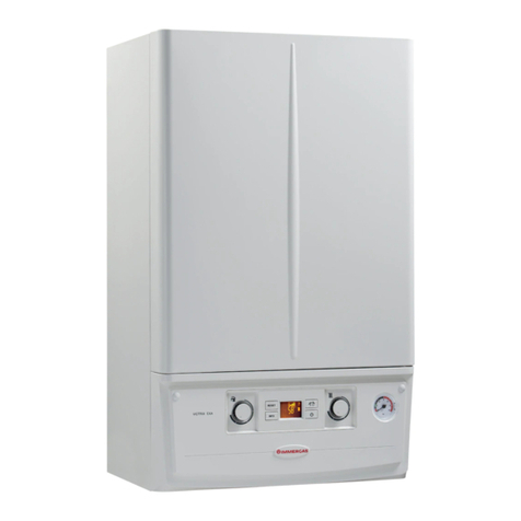Immergas VICTRIX EXA 24 X 1 ErP Instruction and recommendation booklet