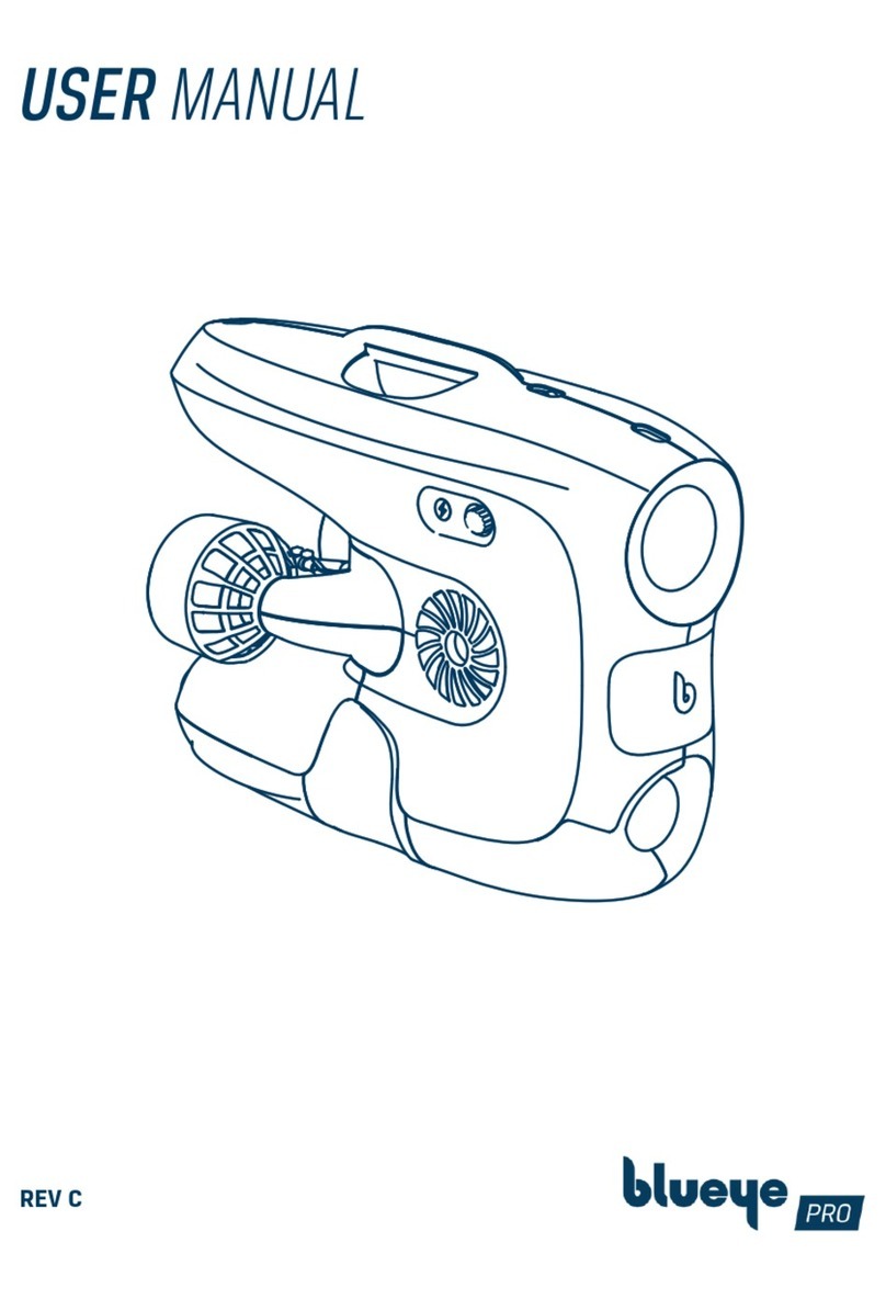 BluEye PRO User manual