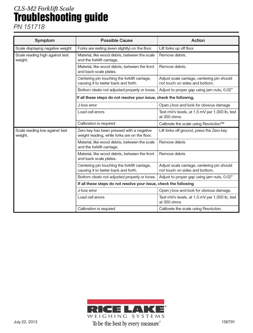 Rice Lake CLS-M2 troubleshooting guide