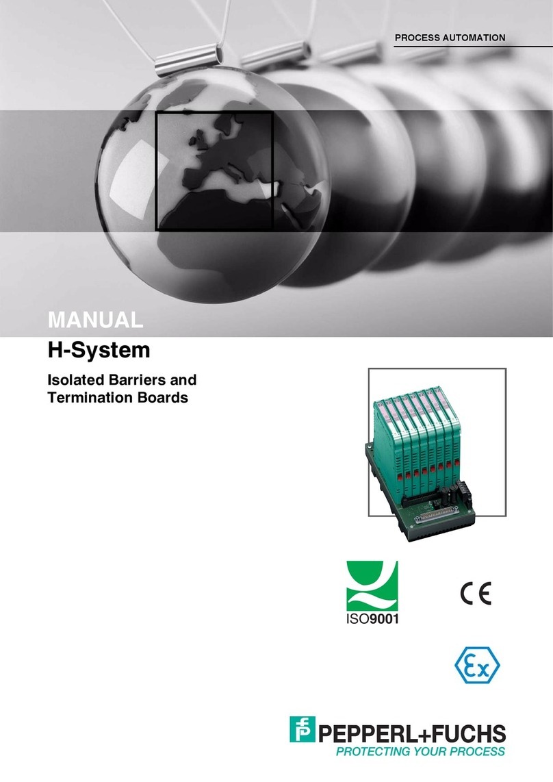 Pepperl+Fuchs H-System User manual