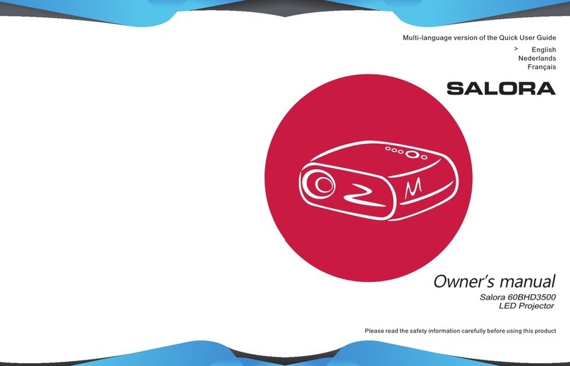 Salora 60BHD3500 owner's manual