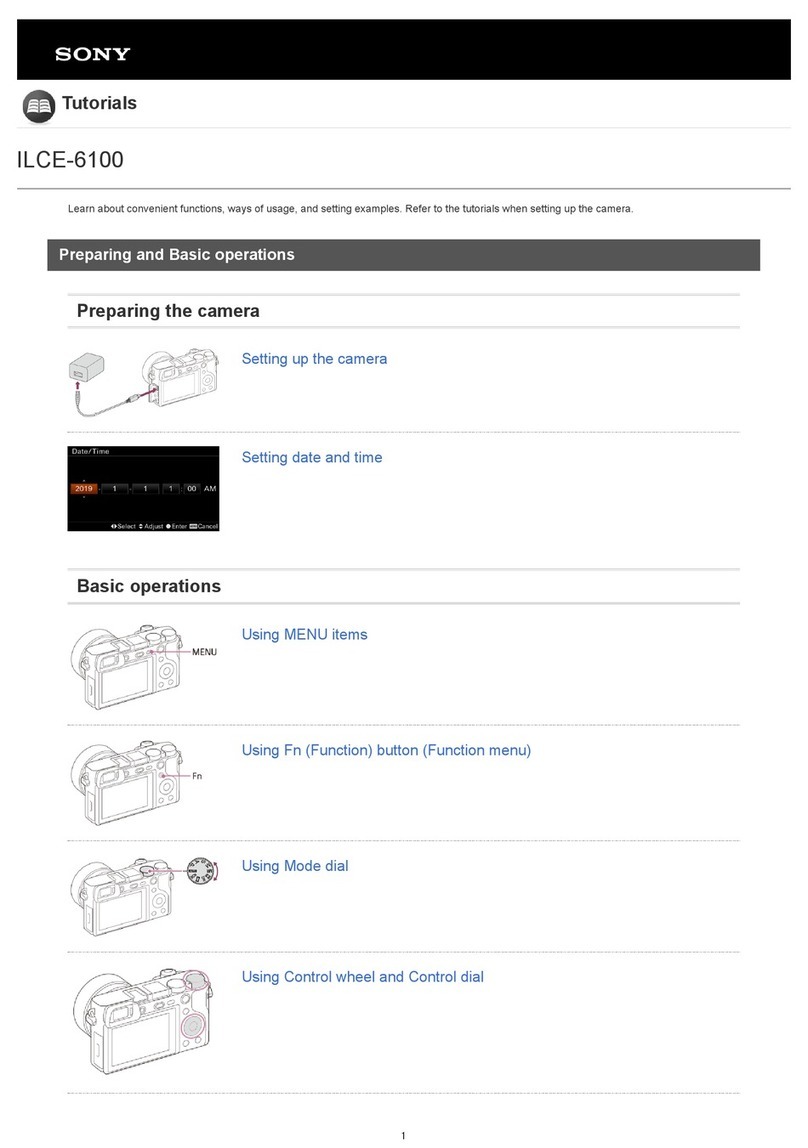 Sony ILCE-6100 Operation instructions