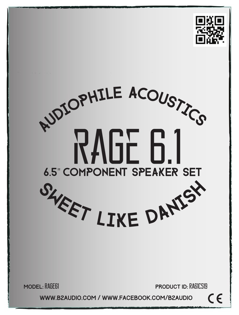 B2 Audio RAGE 6.1 manual