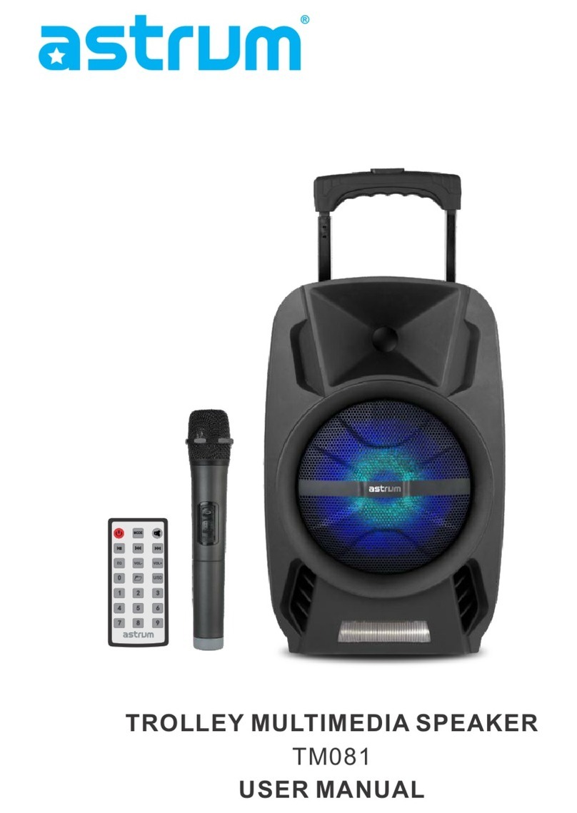 ASTRUM TM081 User manual