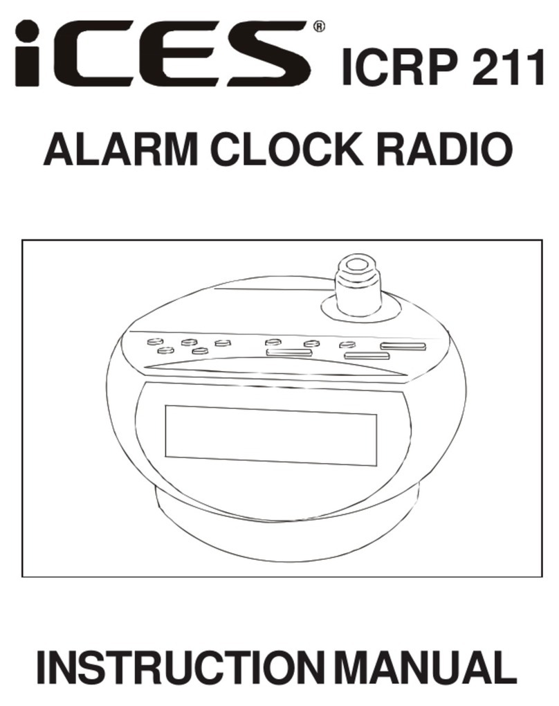 iCES ICRP 211 User manual