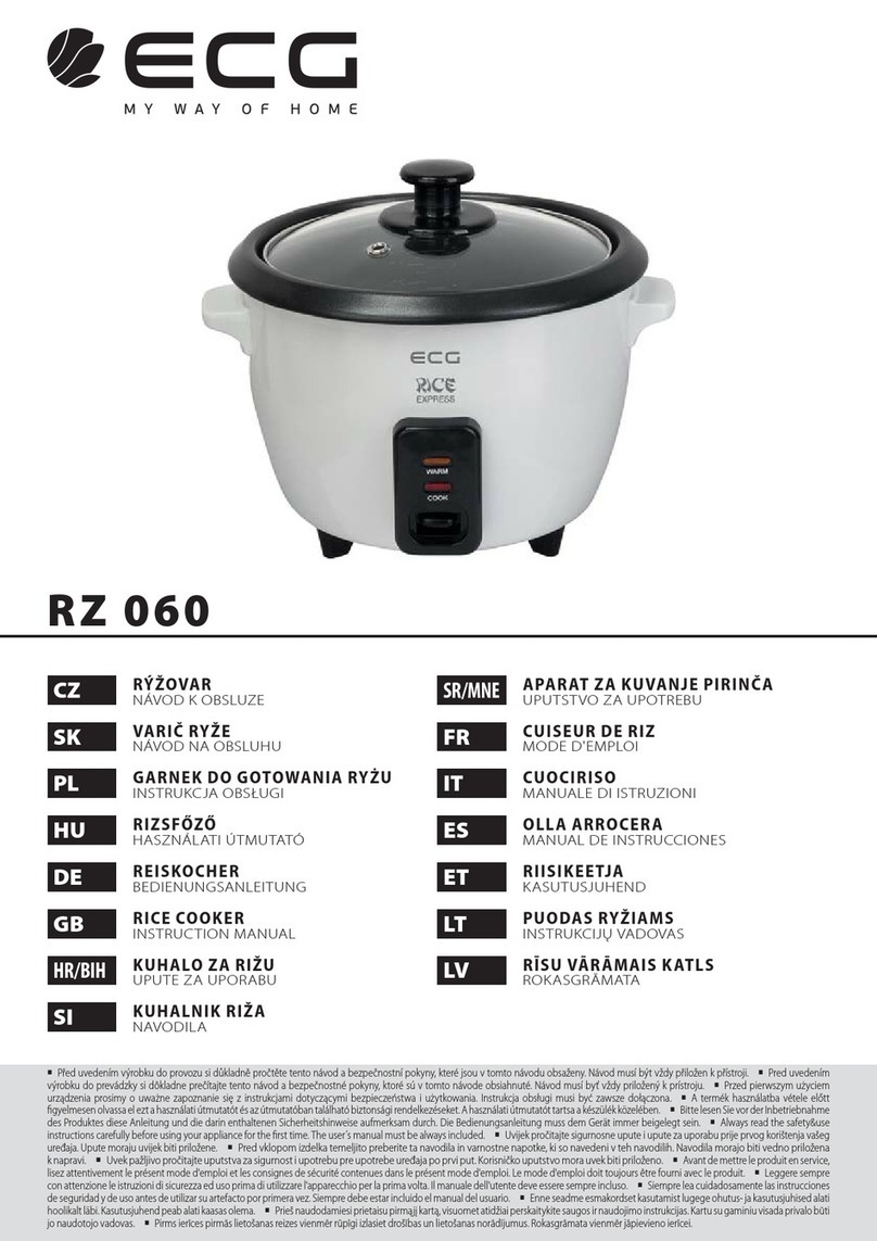 ECG RZ 060 instruction manual ECG RZ 060 instruction manual