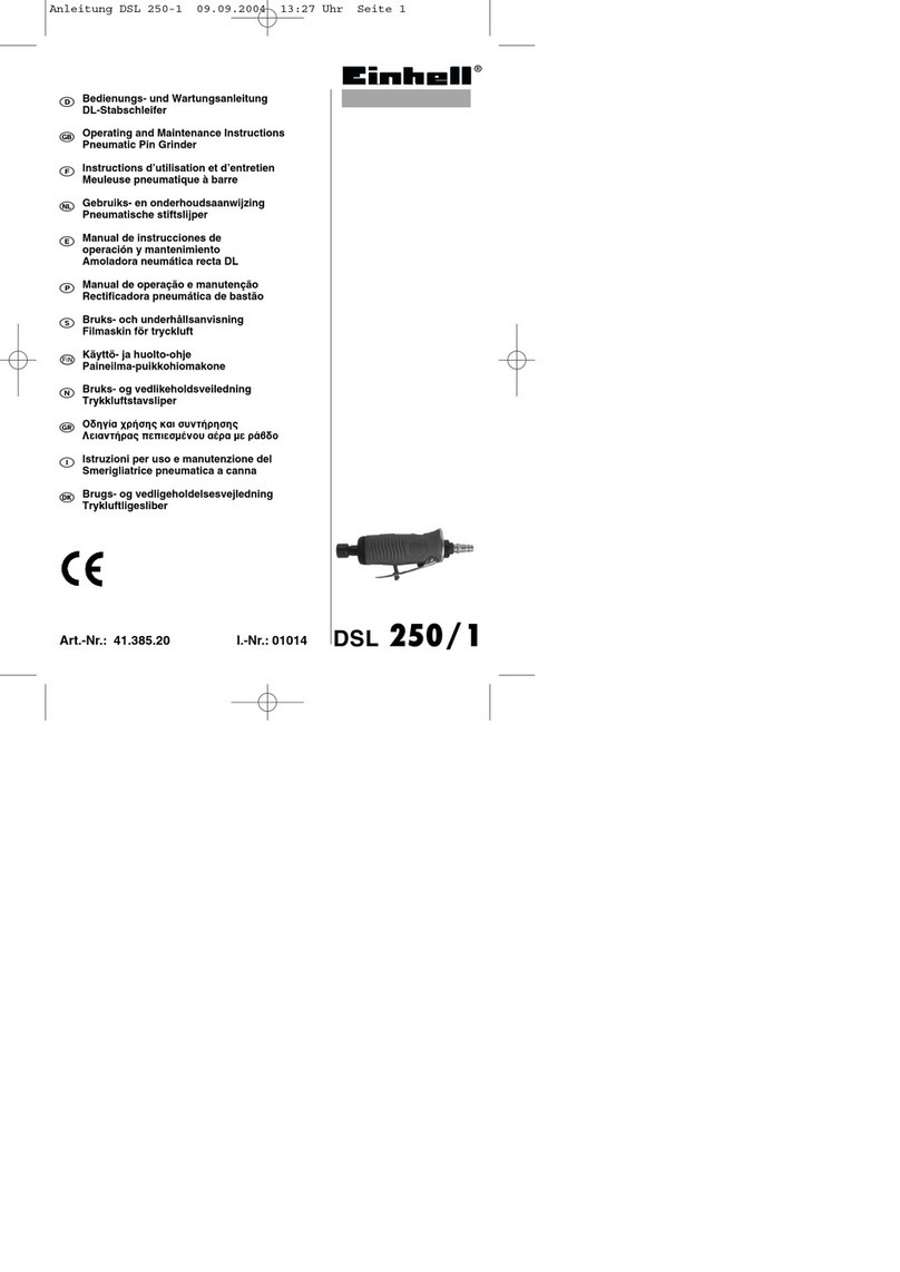 EINHELL DSL 250/1 Operating and maintenance instructions
