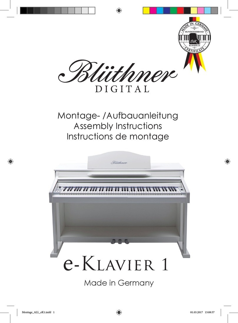 bluthner e-KLAVIER 1 Assembly instructions