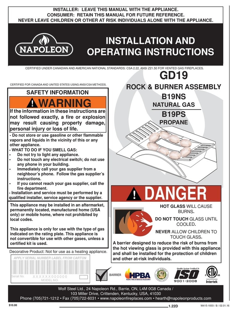 Napoleon GD19 User manual