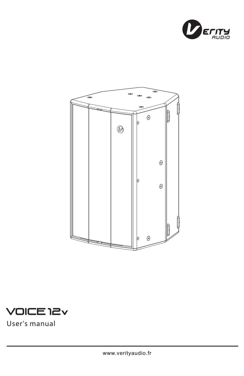 Verity Audio VOICE12v User manual