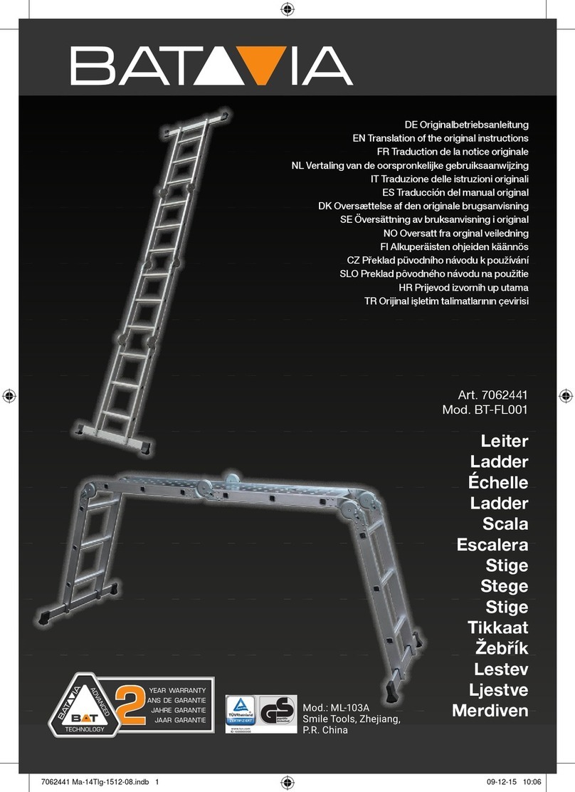 Batavia BT-FL001 User manual
